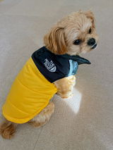 ペキプー🐕 review photo