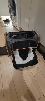 Abbott Raymond review photo