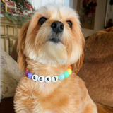 Archie review photo