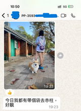 Whatsapp Customer review photo