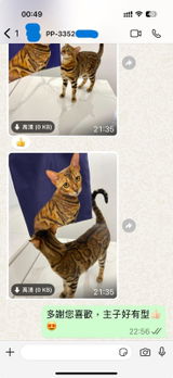 User picture