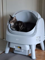 Feline Care review photo