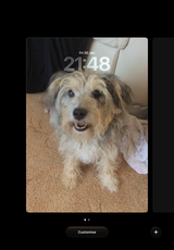 Anonymous review photo