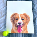 Abby review photo