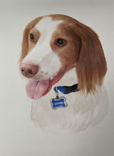 Jessica Dembeck review photo