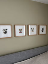Annette Collins review photo