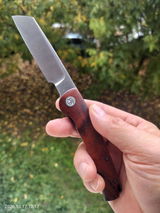 Pavel review photo