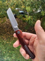 Pavel review photo