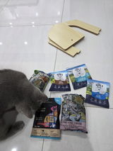 Siew yee review photo