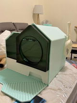 Kelvin review photo