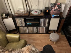 Customer photo of PETRU SYNC in Natural Walnut Wood / Black-Gold, shared by Michael E.