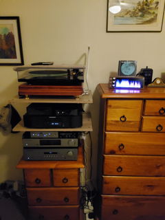 Customer photo 2 of 3 of PETRU SYNC in Natural Walnut Wood / Black-Silver, shared by David S.