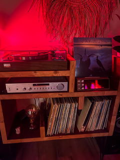 Customer photo of PETRU SYNC in Natural Walnut Wood / Black-Silver, shared by Jodie R.