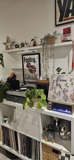 Customer photo of PETRU SYNC in Natural Walnut Wood / Black-Silver, shared by Mr A.W.