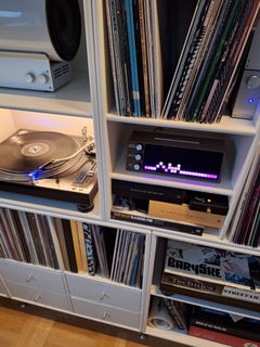 Customer photo of PETRU SYNC in Natural Walnut Wood / Black-Silver, shared by Stig L.
