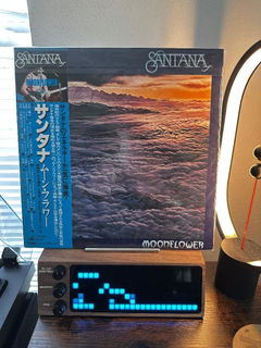 Customer photo of PETRU SYNC in Natural Walnut Wood / All-Black, shared by Paul C.