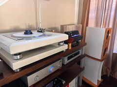 Customer photo 1 of 3 of PETRU SYNC in Black Wood / Black-Silver, shared by Kil Y.