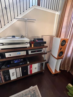 Customer photo 3 of 3 of PETRU SYNC in Black Wood / Black-Silver, shared by Kil Y.