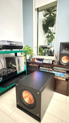 Customer photo 1 of 2 of PETRU SYNC in Black Wood / Black-Silver, shared by Cos