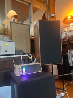 Customer photo of PETRU SYNC in Natural Walnut Wood / Black-Gold, shared by Chingtong K.