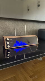 Zivaljevic M. review photo