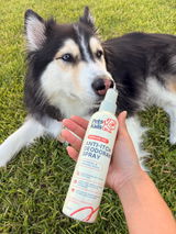 Stella review photo