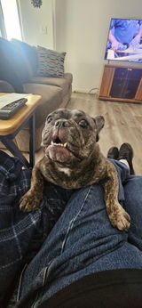 User picture