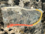 C.F. review photo
