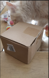 Umaima review photo
