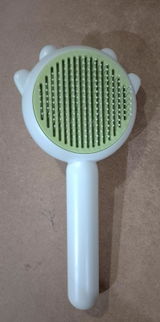 Yasmeenshah951 review photo