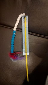 Fazila Akhtar review photo