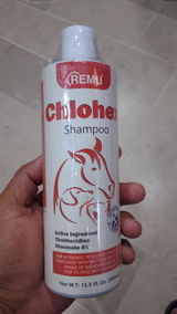 Raheel Ch review photo