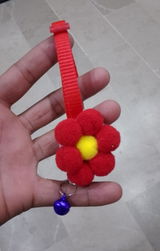 Farukkh Hasan review photo