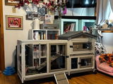 A Customer review photo