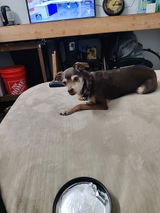 A Customer review photo