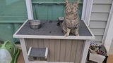 A Customer review photo