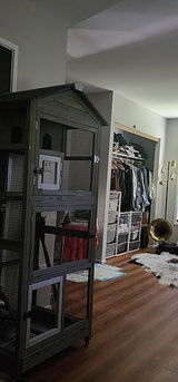 A Customer review photo