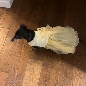 Custom Dog Wedding Dress with Embroidered Name – Personalized Organza & Tulle Dress for Dogs & Cats