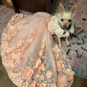 Pink 3D Floral Wedding Gown for Dogs & Cats – Long Train Couture Dress