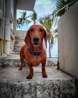 Ben Varghese K R review photo