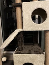 Vickie Ti review photo