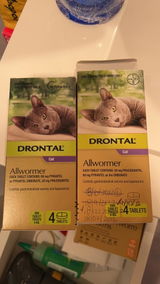 Sze Yin Ying review photo