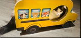 Alexander’s 2nd birthday present! Thanks Petso it was a hit! 🚌🎁 review photo