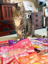 Hatsuko W review photo