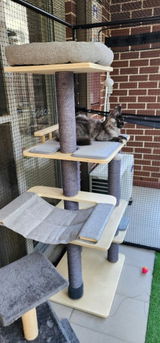 CATIO Multi-level Platforms Cat Climbing Tree