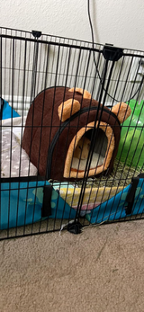 Customer review photo