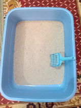 iram review photo