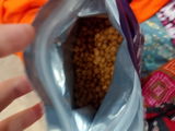Pawfect Kitten Food 1 - 12 Months