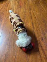 Trina review photo