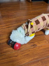 Trina review photo
